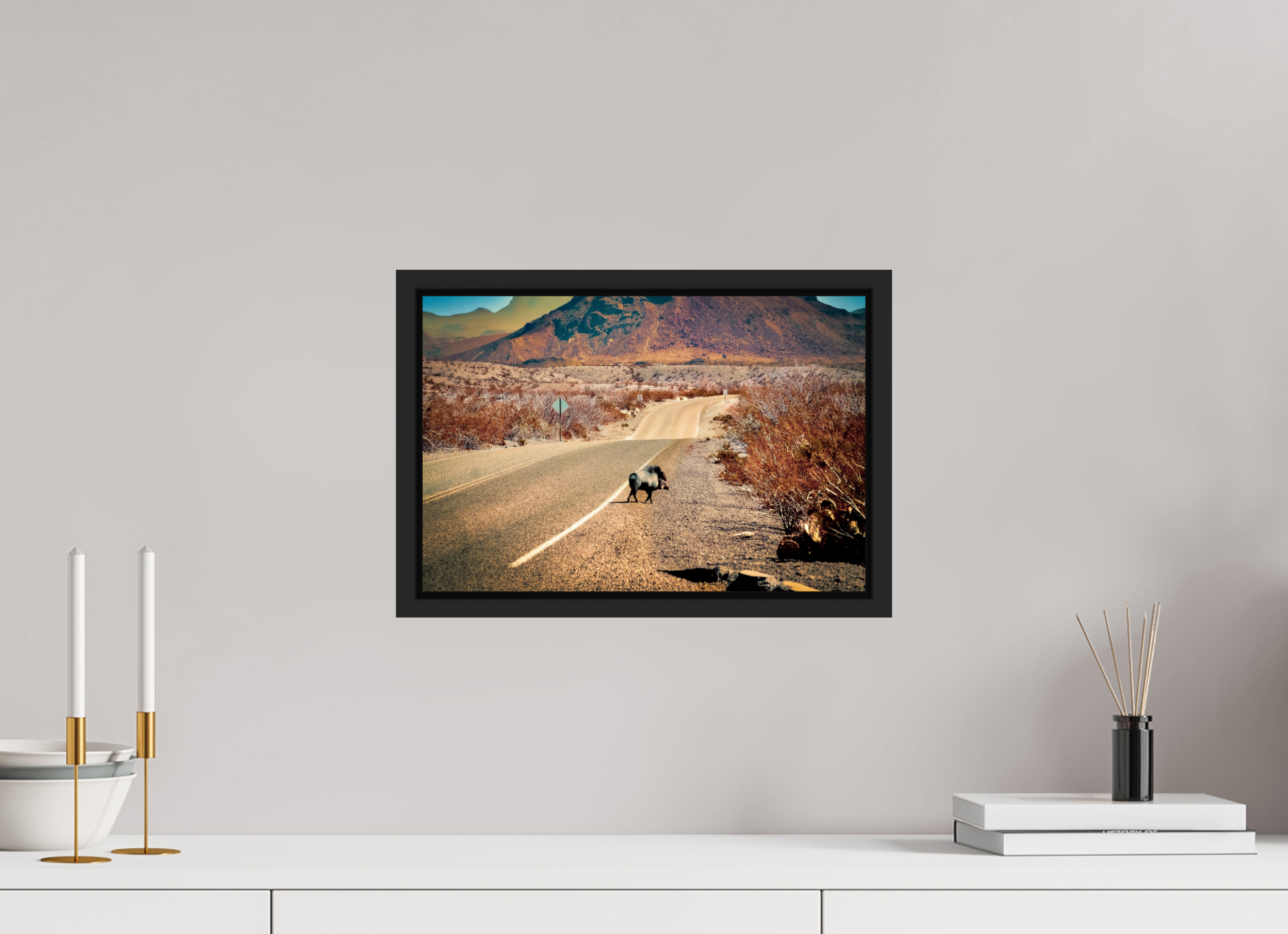 15 x 10″, COLOR - ACRYLIC GLASS - SIMPLE FRAME Javelina on a movie set