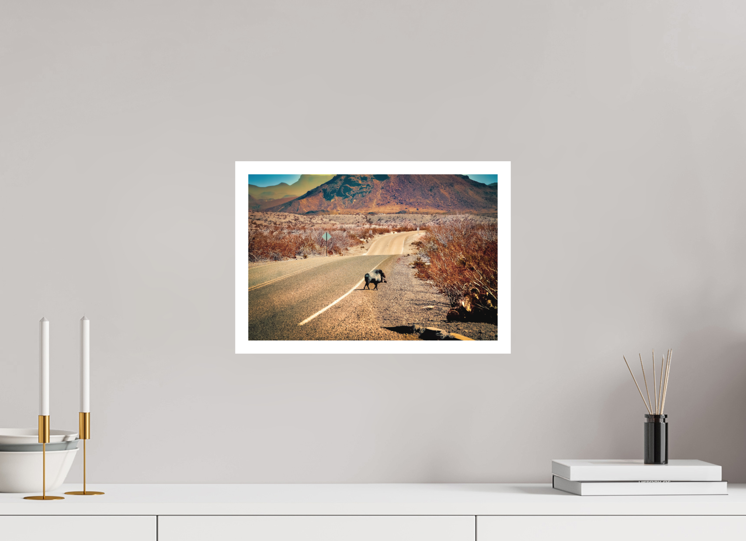 15 x 10″, Stand Alone Matte Print Javelina on a movie set