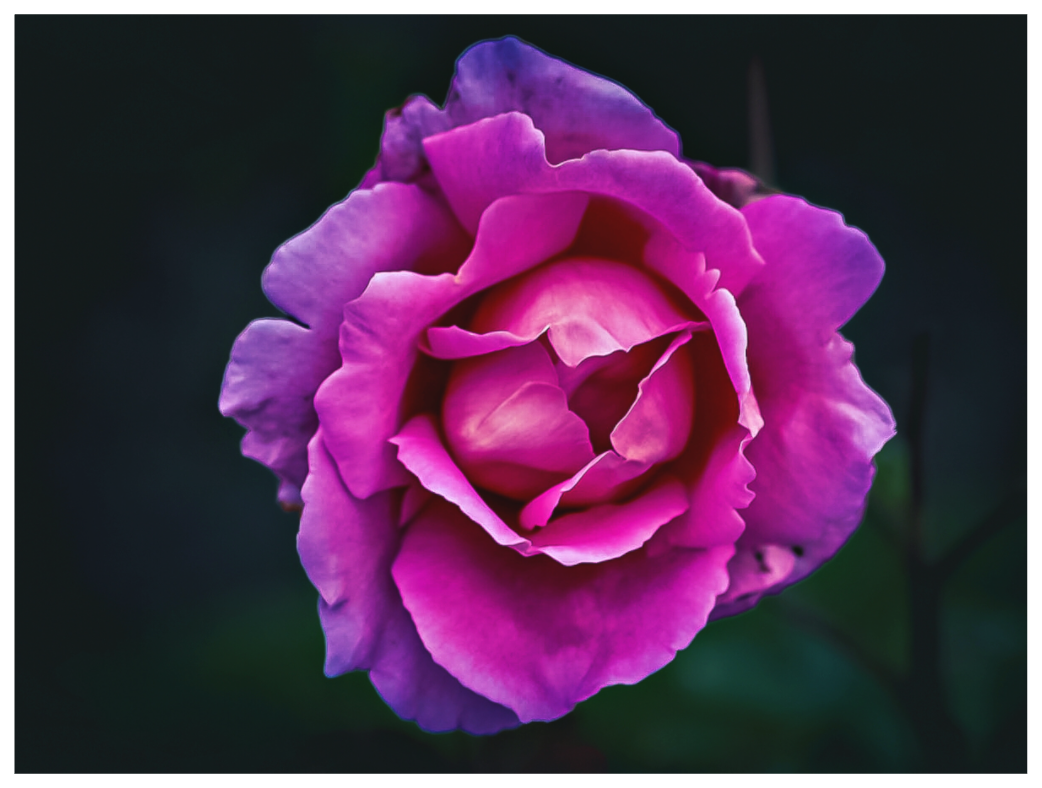 Main image Pink