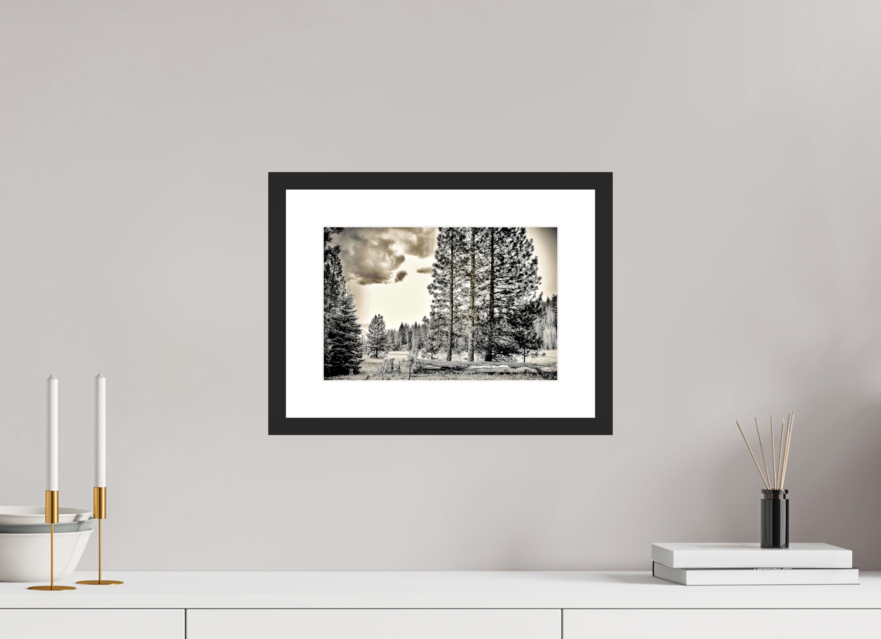 12 x 8″, Framed FineArt Pearl Paper Sequoia in Sepia