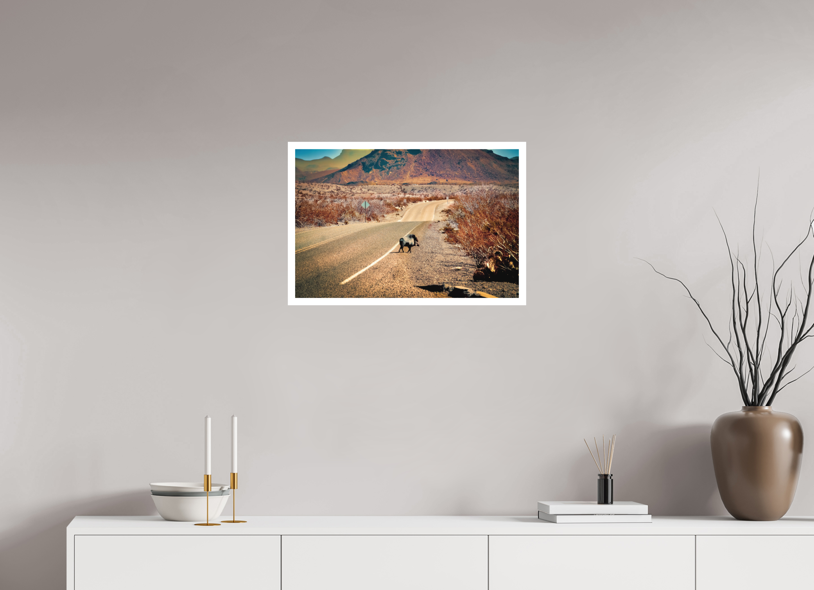 24 x 16″, Stand Alone Matte Print Javelina on a movie set