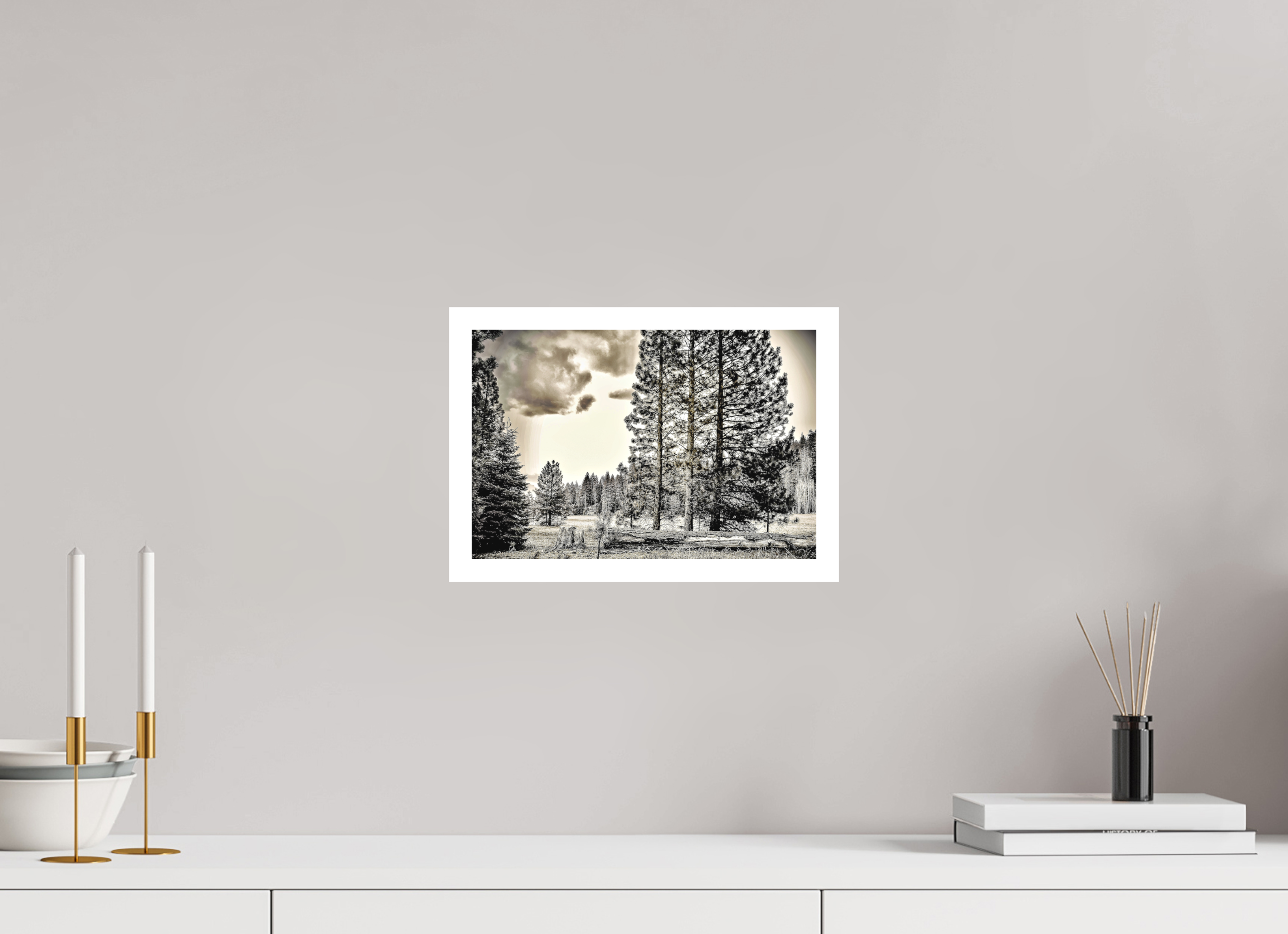 12 x 8″, Stand Alone Matte Print Sequoia in Sepia