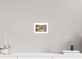 6 x 4″, Stand Alone Matte Print Singing Dune Dreams