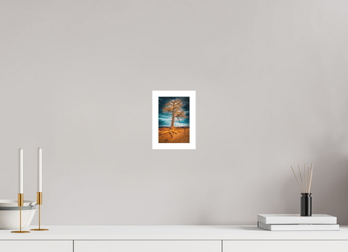 4 x 6″, Stand Alone Matte Print Canyon Roots