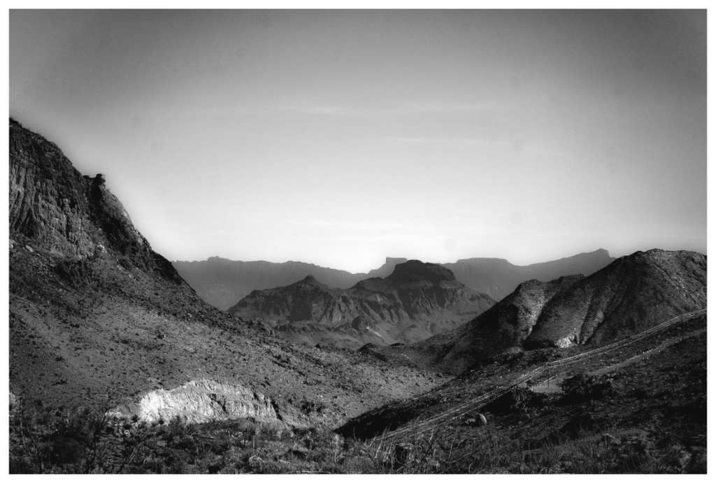 Main image Soft Texas