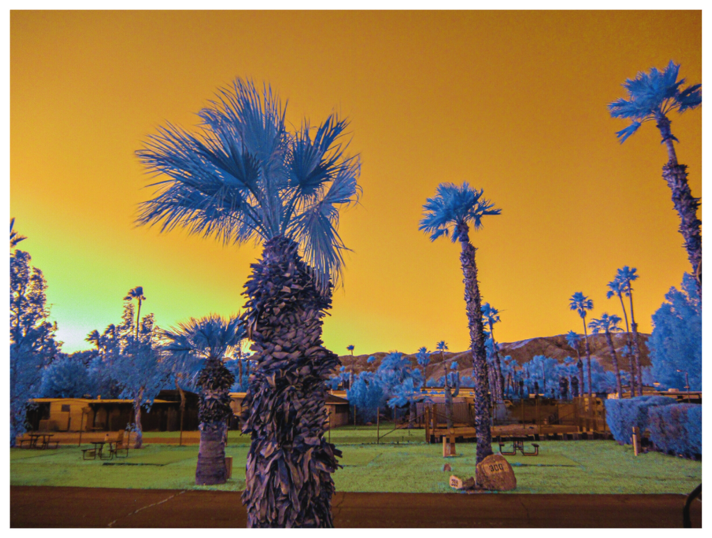 Main image Park Life in Full Spectrum