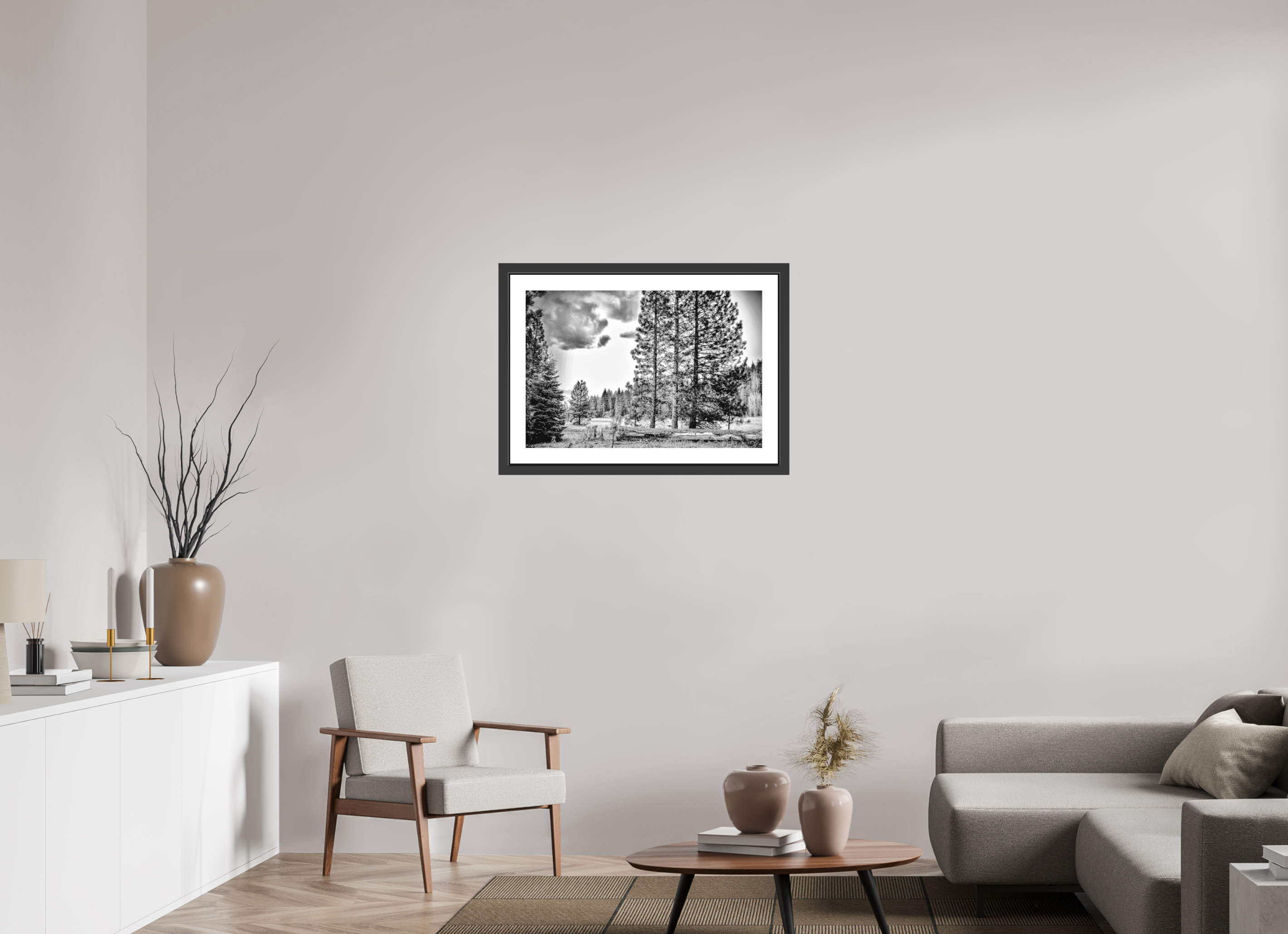 30 x 20″, BW - MATTE GLASS - 2" MOTIF - SHADOW FRAME Sequoia in Sepia