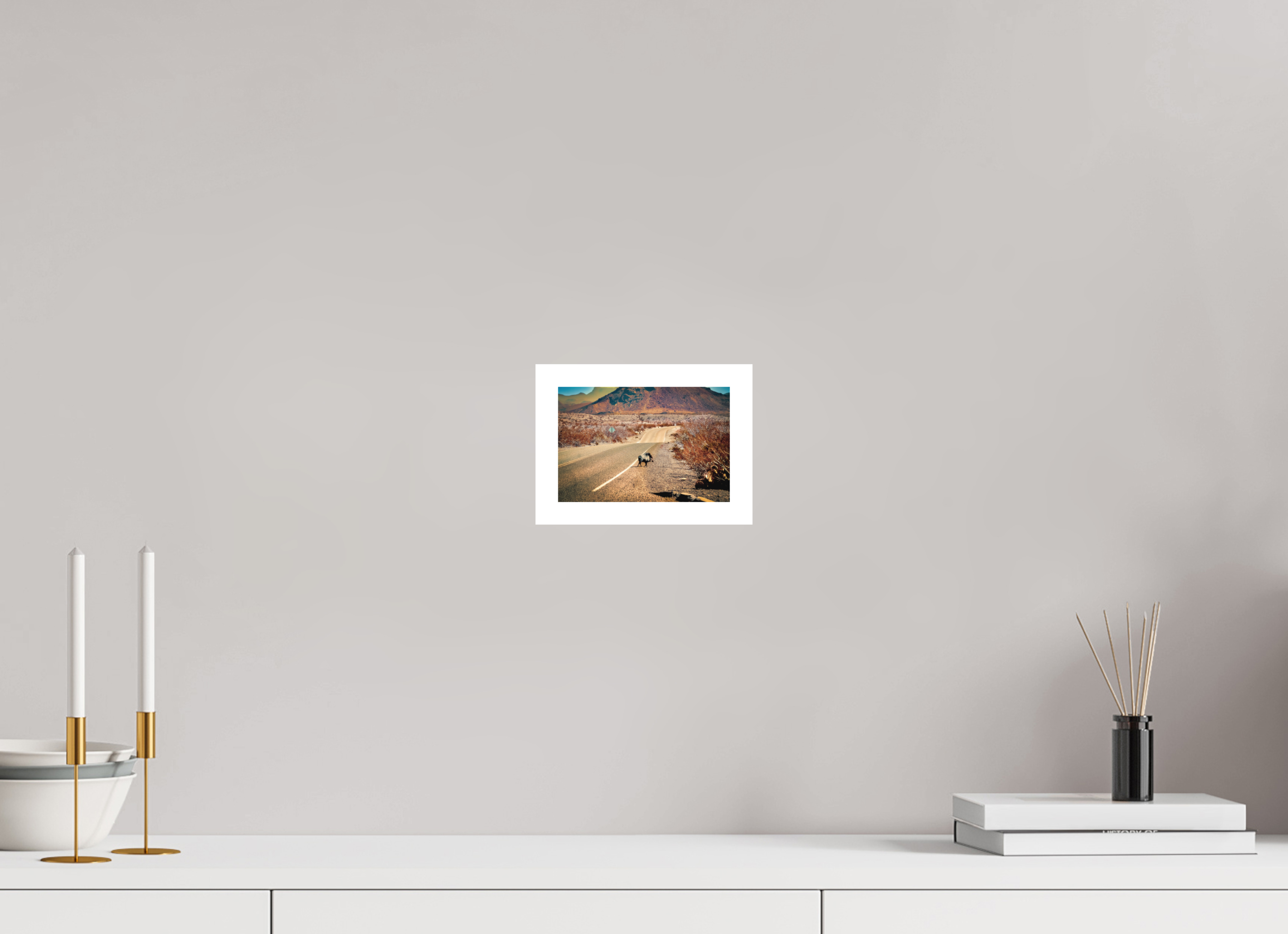 6 x 4″, Stand Alone Matte Print Javelina on a movie set