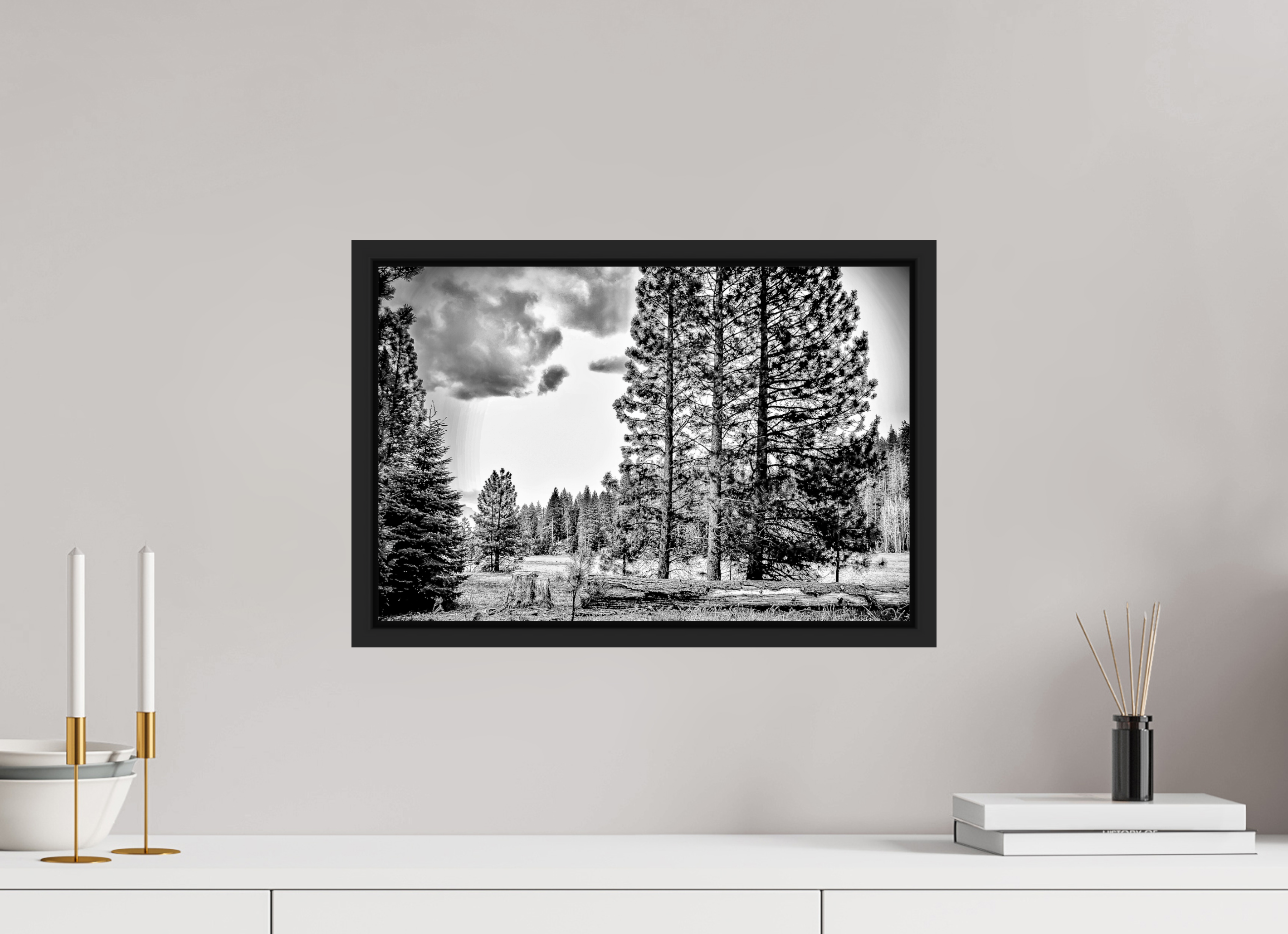 18 x 12″, BW - ACRYLIC GLASS - SIMPLE FRAME Sequoia in Sepia