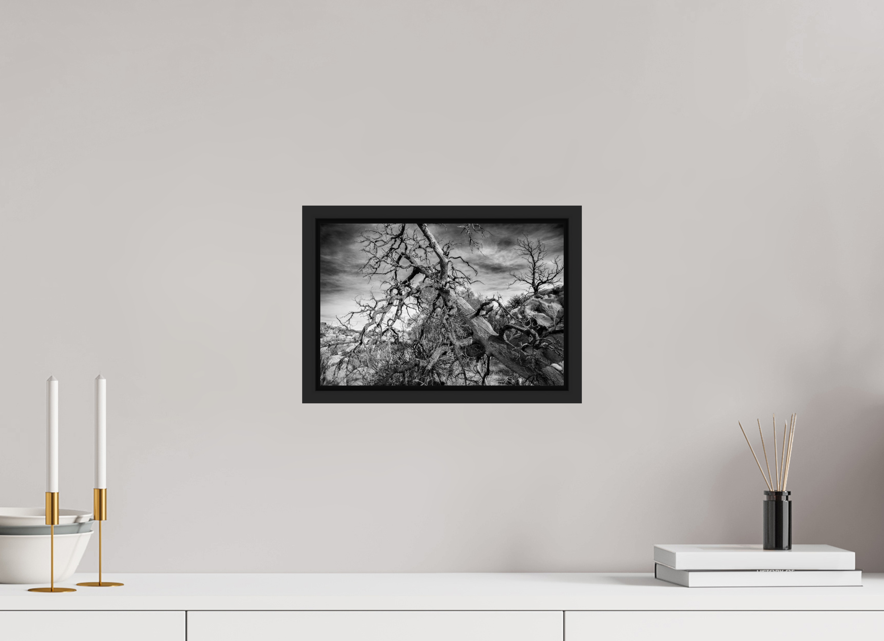 12 x 8″, BW - ACRYLIC GLASS - SIMPLE FRAME Dramatic Tree Pt. 2