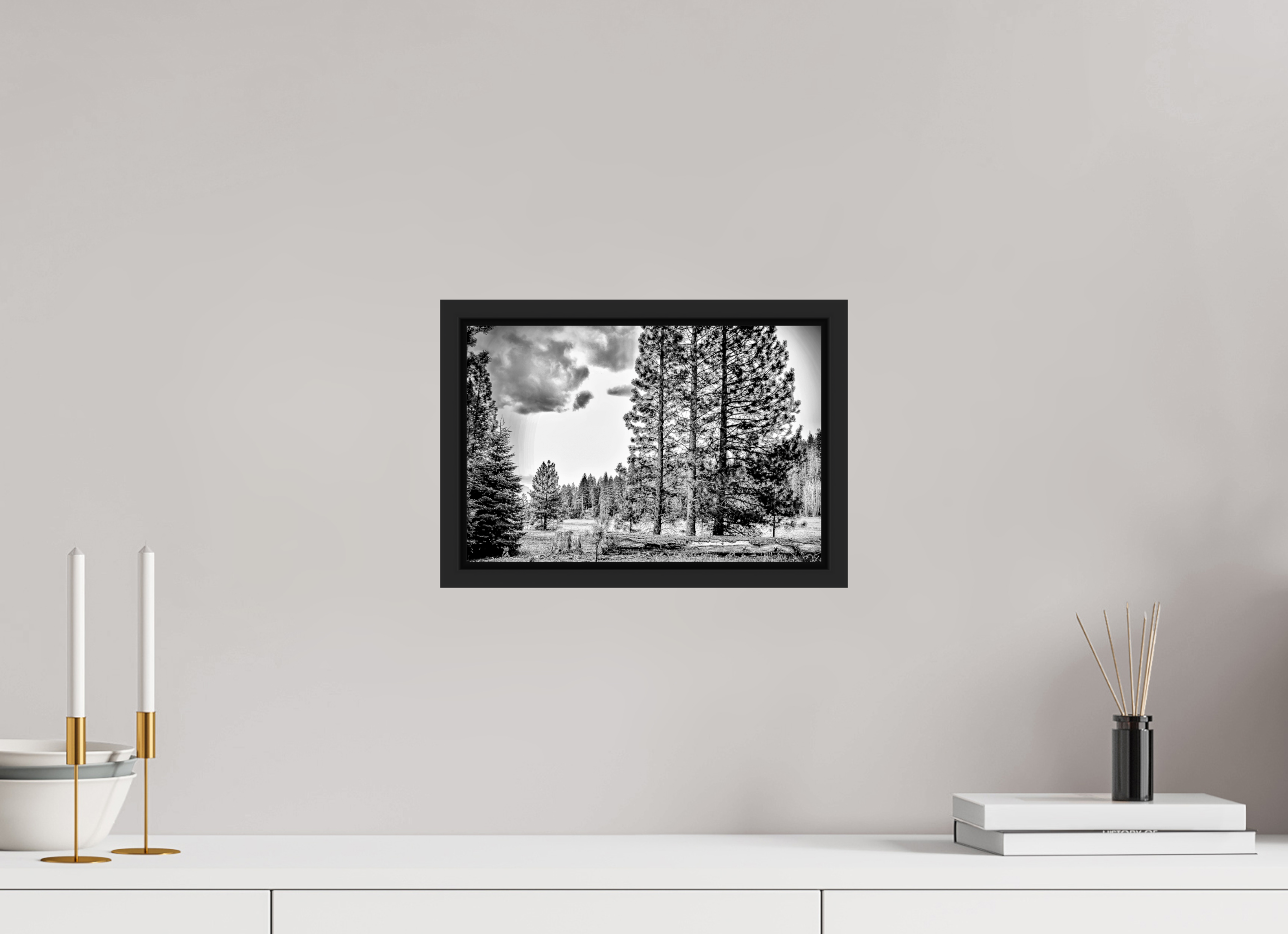 12 x 8″, BW - ACRYLIC GLASS - SIMPLE FRAME Sequoia in Sepia