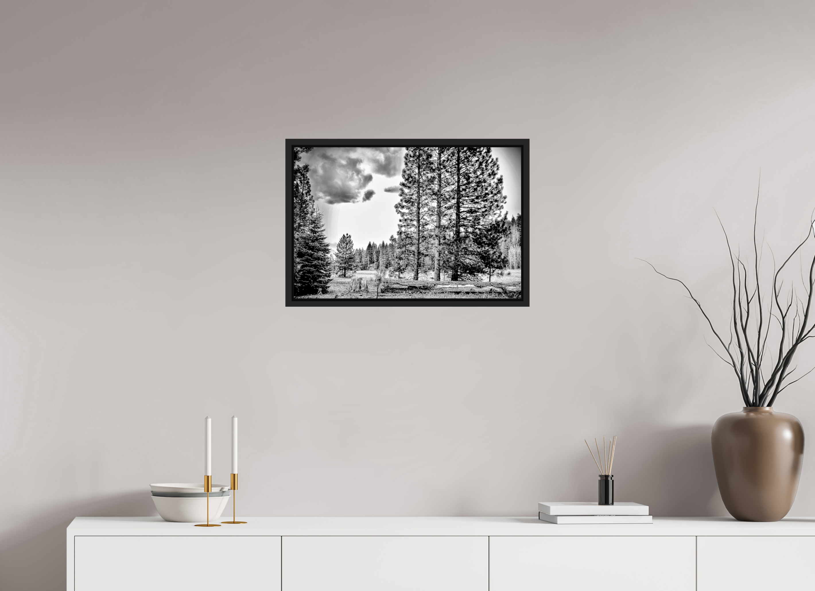 24 x 16″, BW - ACRYLIC GLASS - SIMPLE FRAME Sequoia in Sepia