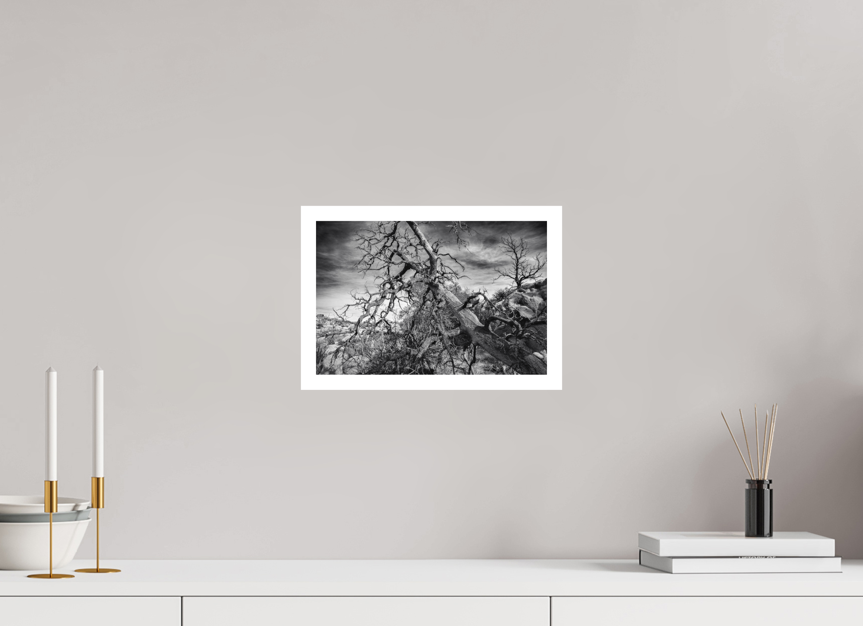 12 x 8″, Stand Alone Matte Print Dramatic Tree Pt. 2
