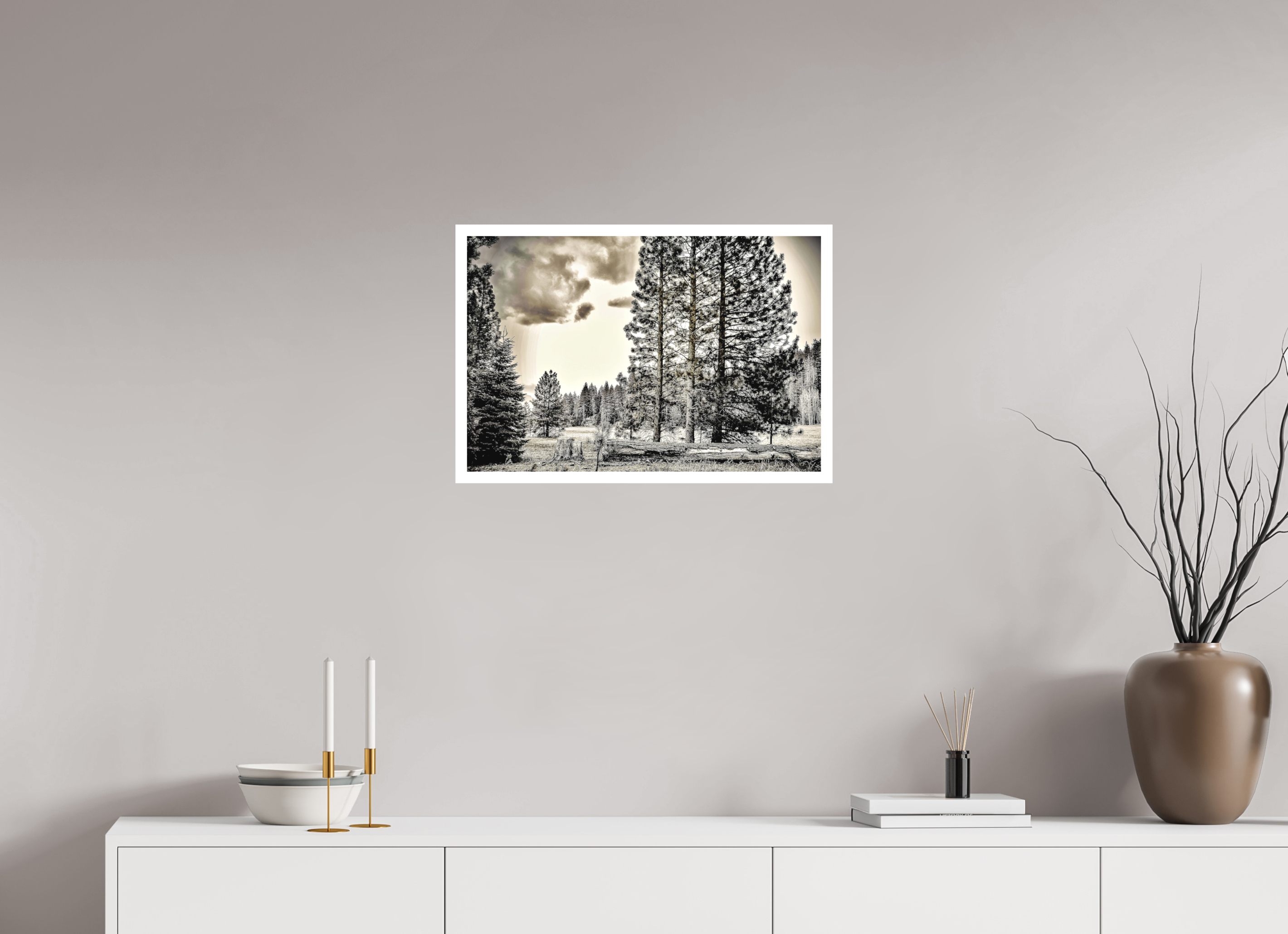 24 x 16″, Stand Alone Matte Print Sequoia in Sepia